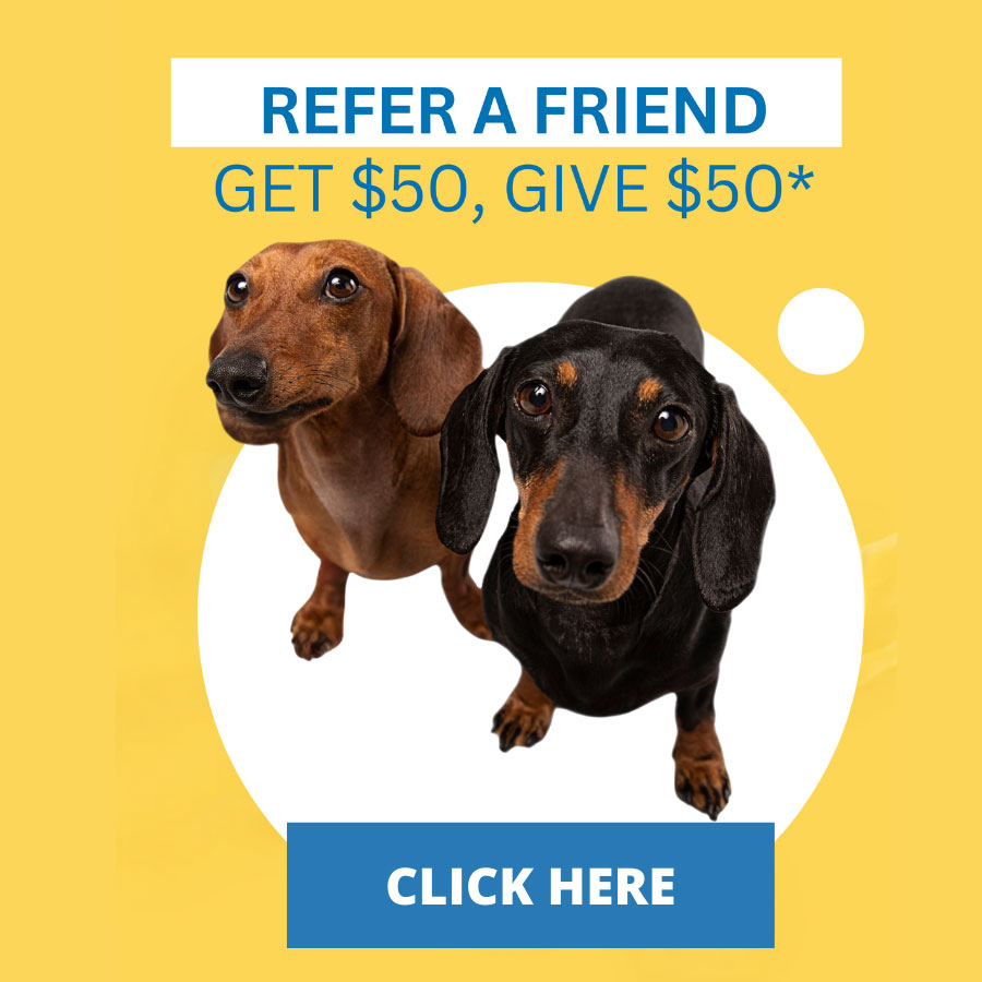 Refer a friend. Get $50. Give $50